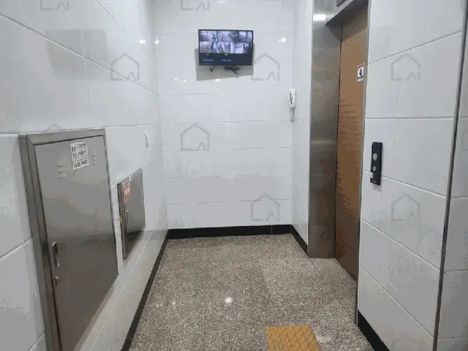 관련사진