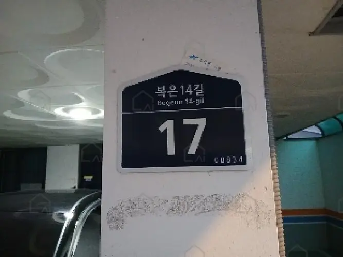 관련사진