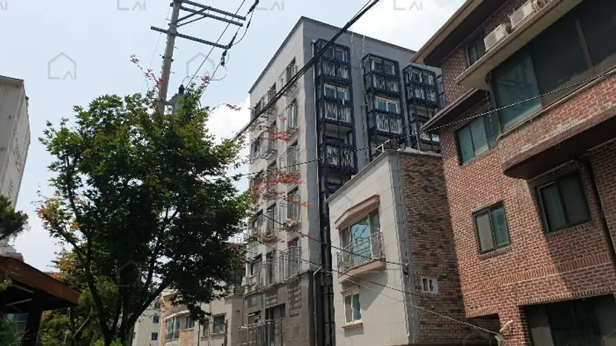 관련사진