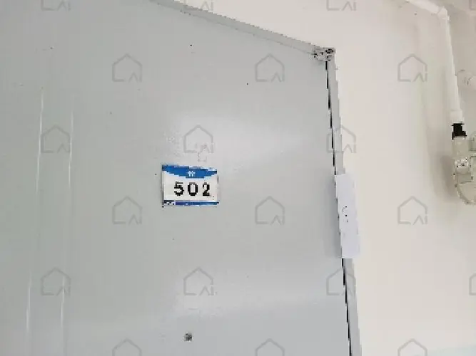 관련사진