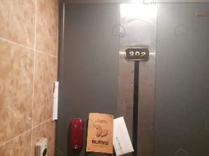 관련사진