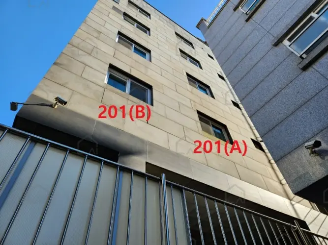 관련사진