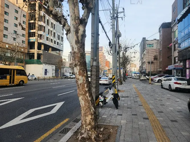 관련사진