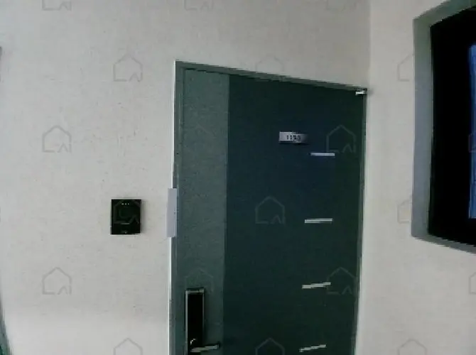 관련사진