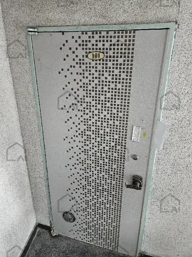 B000210202501301036475.jpg