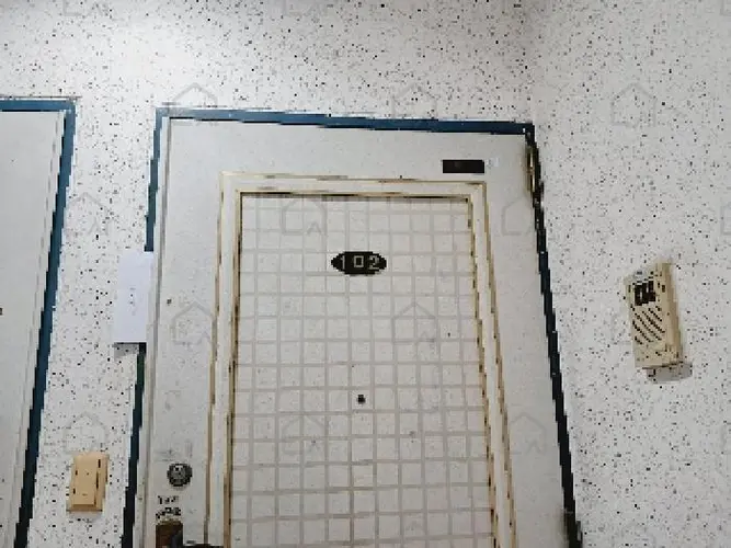 관련사진