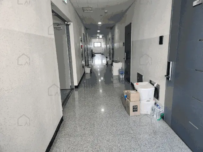 관련사진