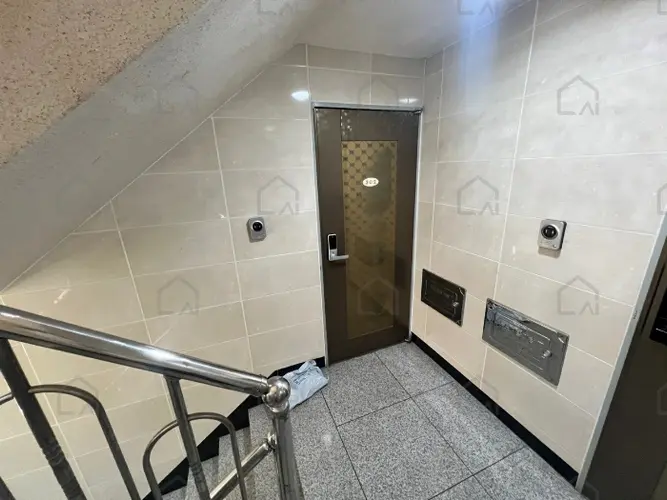 관련사진