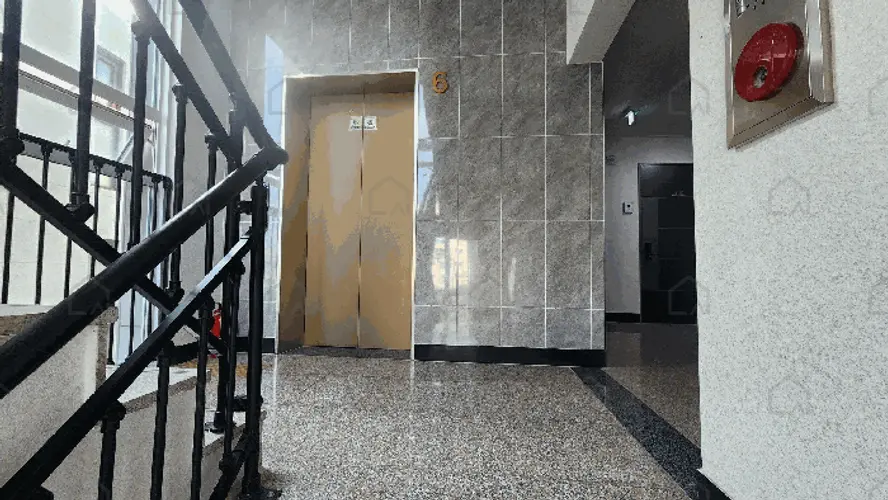 관련사진
