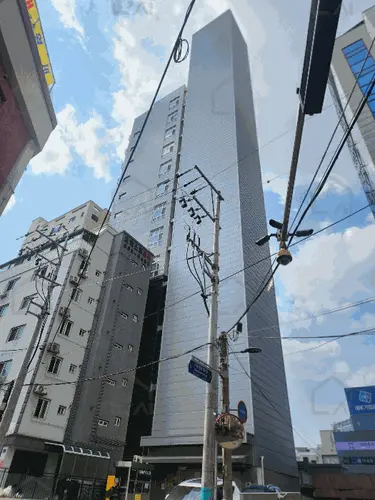 관련사진