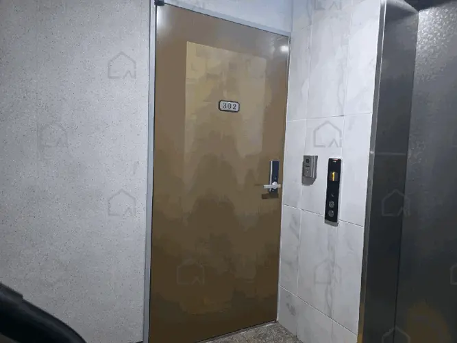 관련사진