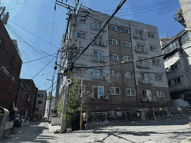 관련사진