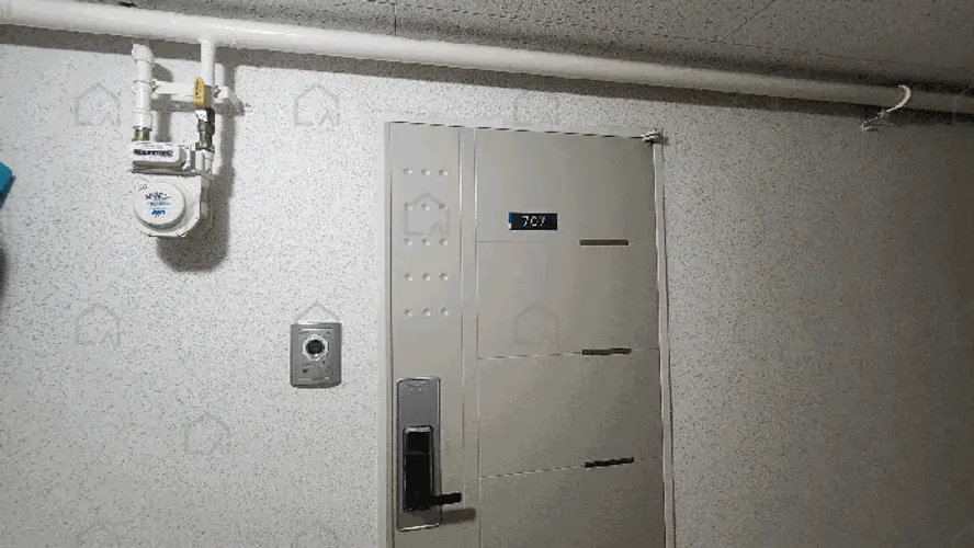 B000212202501300129469.jpg