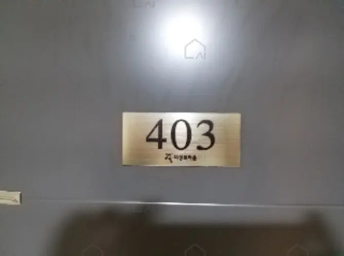 B000212202501300041733.jpg