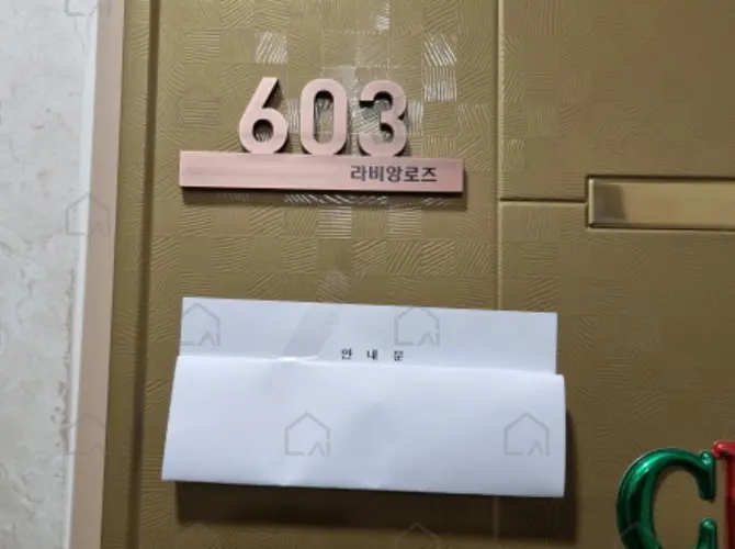 관련사진