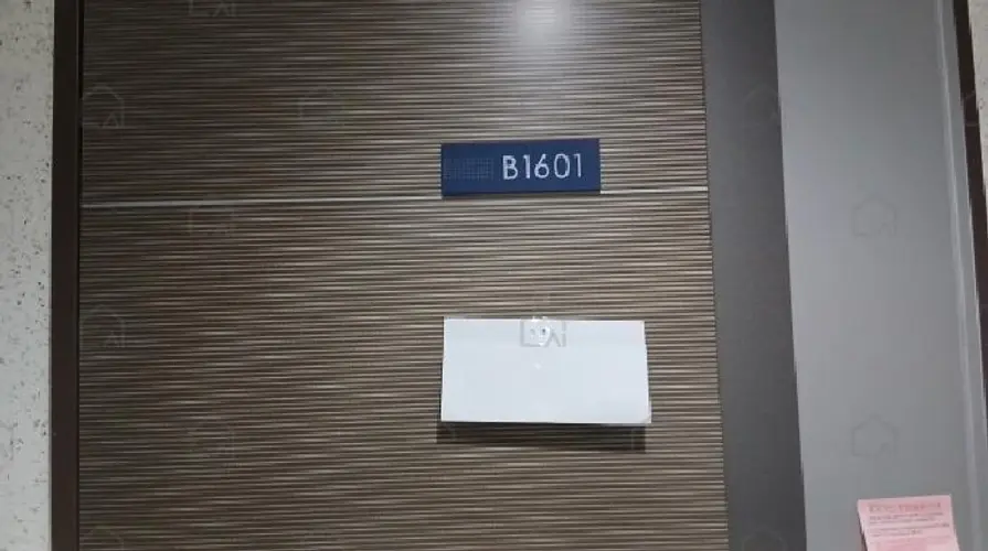 B0002132025013001259511.jpg