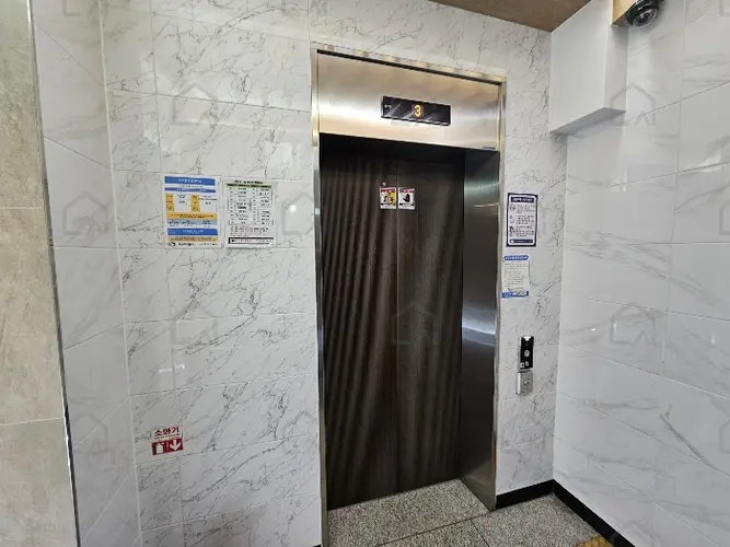 관련사진
