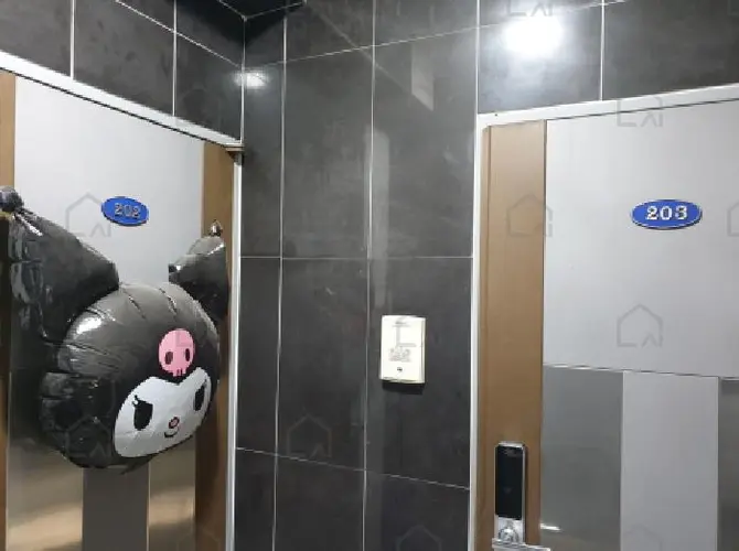 관련사진