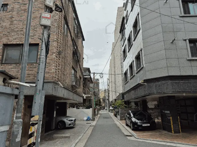 관련사진