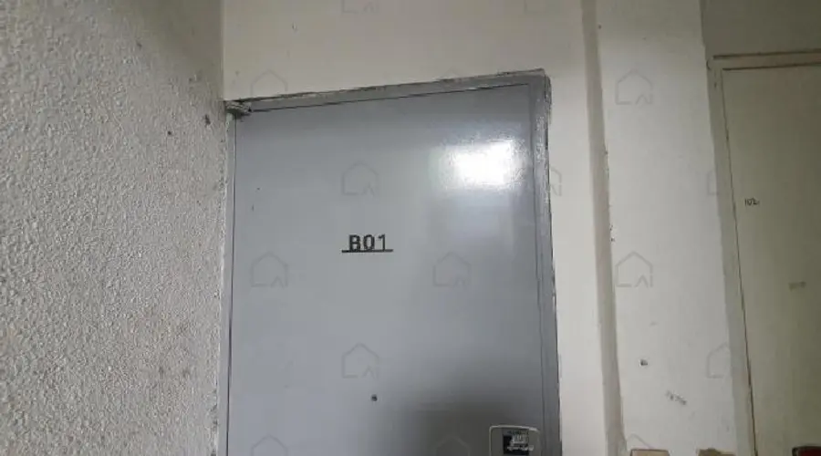 관련사진