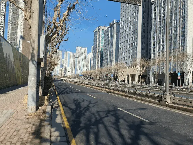 관련사진