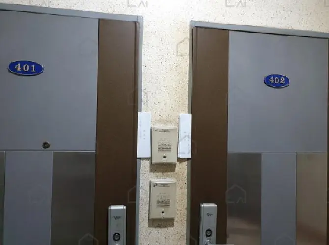 관련사진