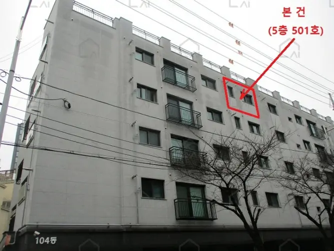 관련사진