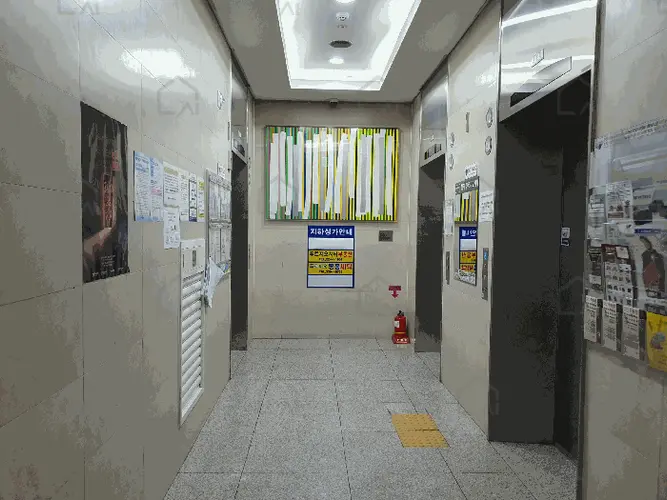 관련사진