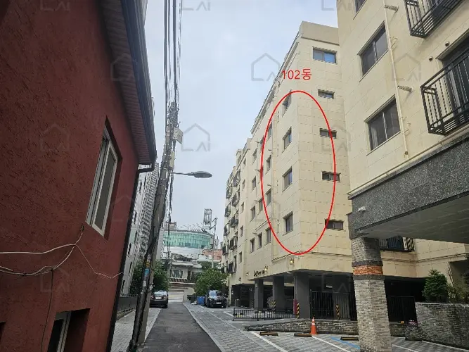 관련사진