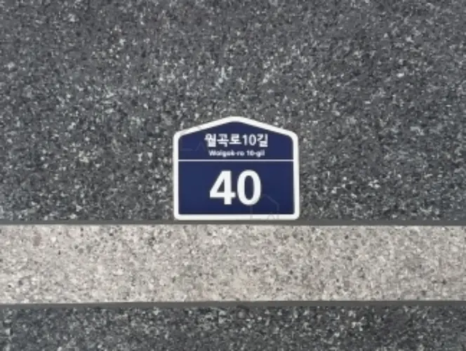 관련사진