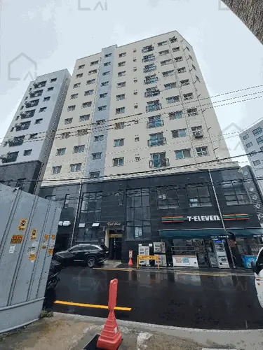 관련사진
