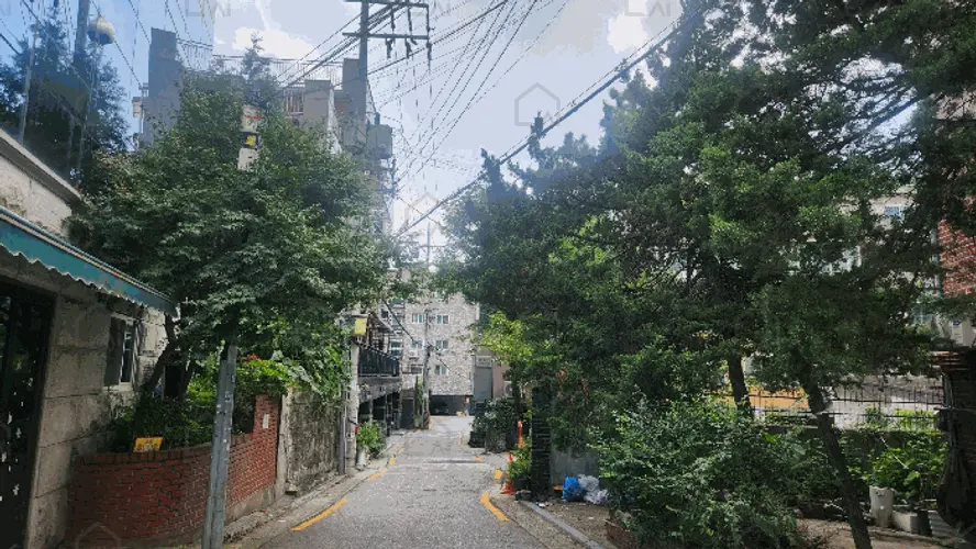 관련사진