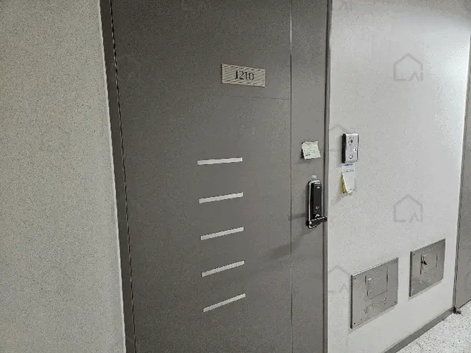 관련사진