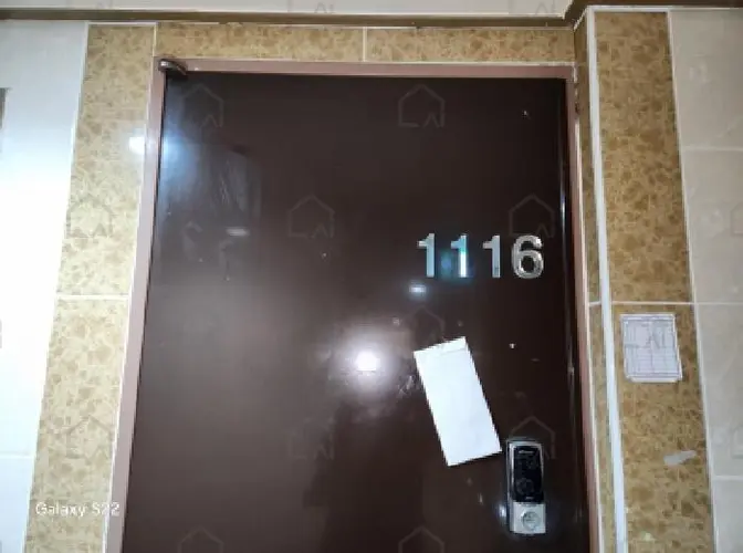 관련사진