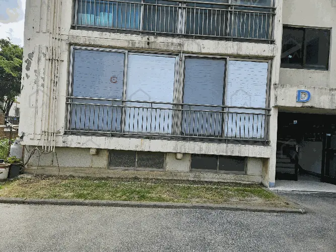 관련사진