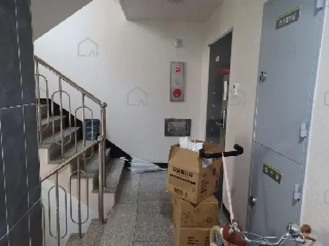 관련사진
