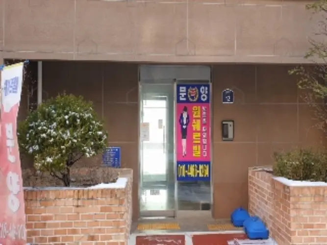 관련사진