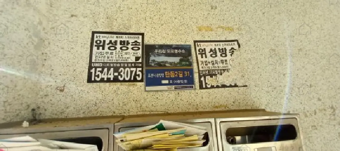 관련사진