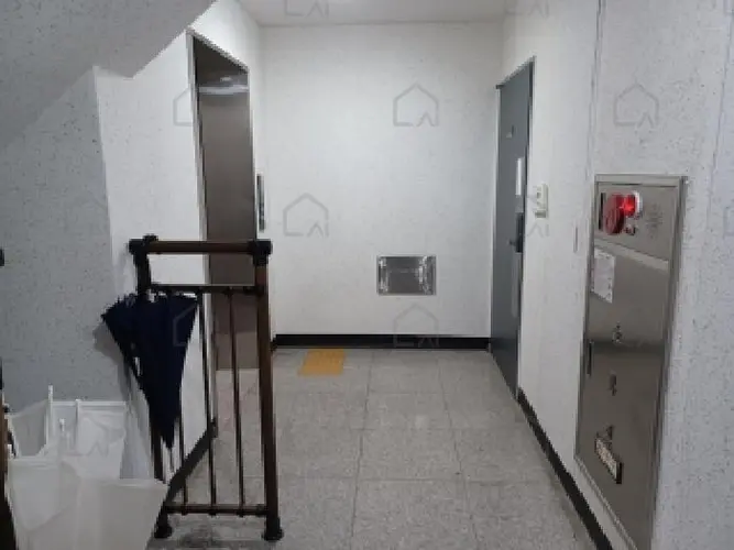 관련사진