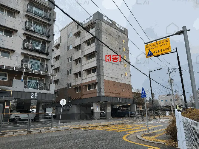 관련사진