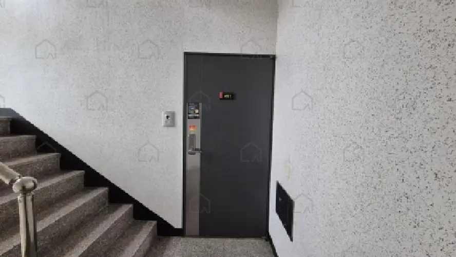 관련사진