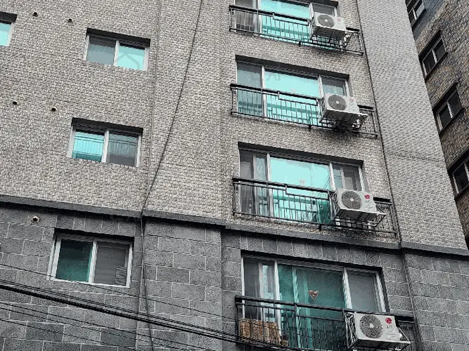 관련사진