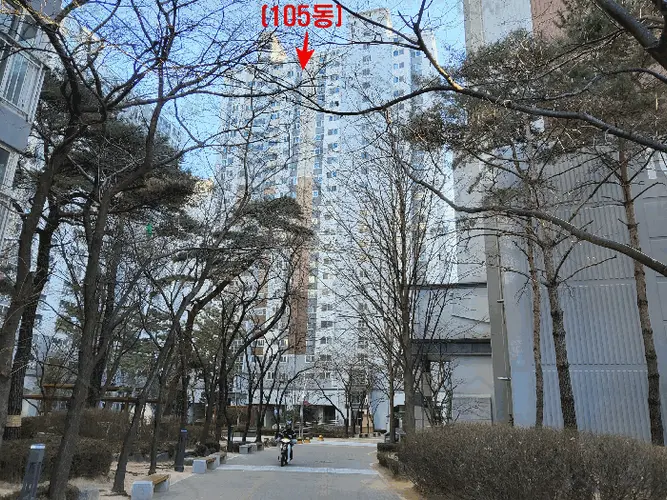 관련사진