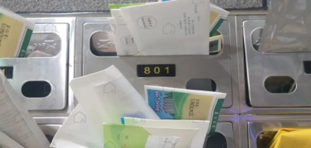 관련사진