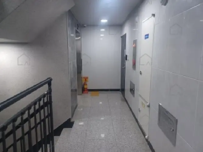관련사진