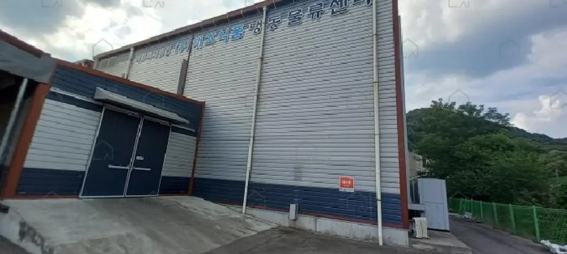 B000214202501300727369.jpg