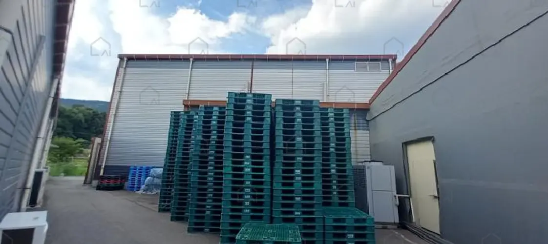 B000214202501300727367.jpg