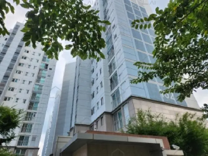 관련사진