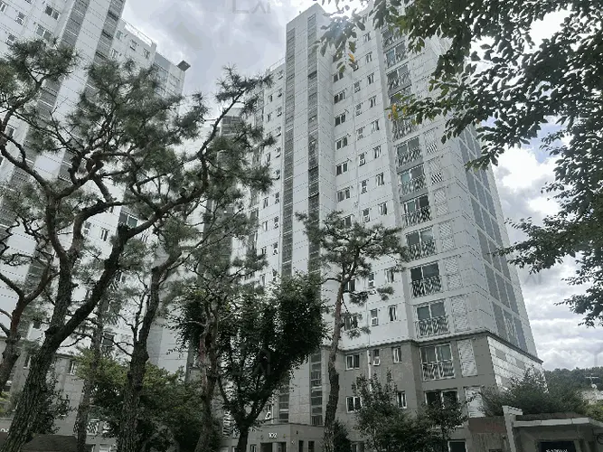관련사진