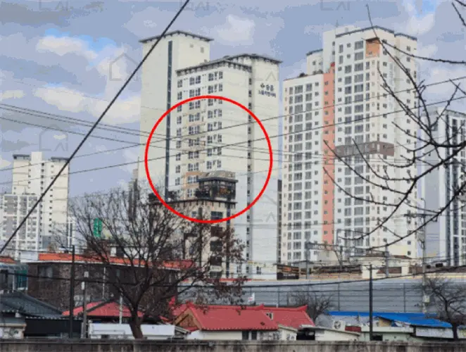 관련사진